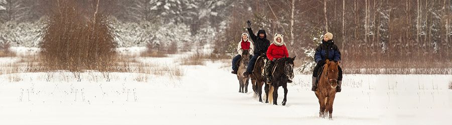 Обучение верховой езде.