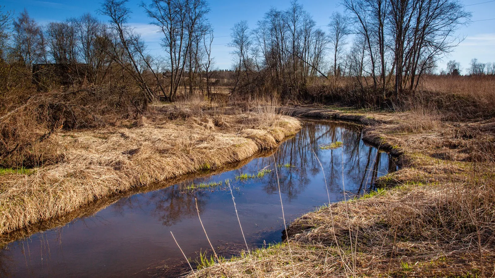 Конный поход по Тверской области в село Красное